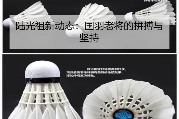 lu-guang-zu-xin-dong-tai-guo-yu-lao-jiang-de-pin-bo-yu-jian-chi-2-569.jpg
