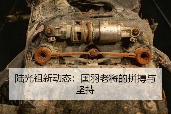 陆光祖新动态：国羽老将的拼搏与坚持